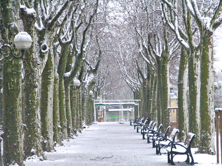 Narbonne in the Snow.  Photo copyright 2010 by Marlane O'Neill.  All rights reserved.
