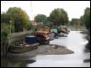 Thames low tide